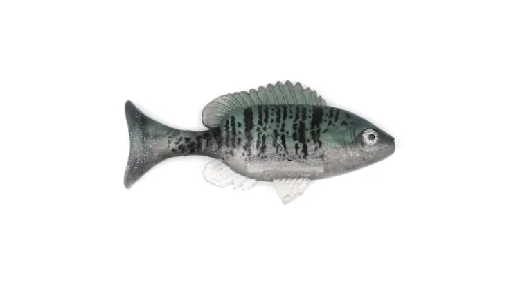 Sudden Impact Sunfish / Perch