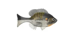 Sudden Impact Suzygill Bluegill