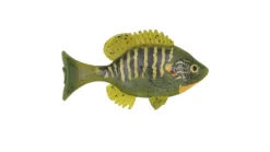 Sudden Impact Suzygill Bluegill