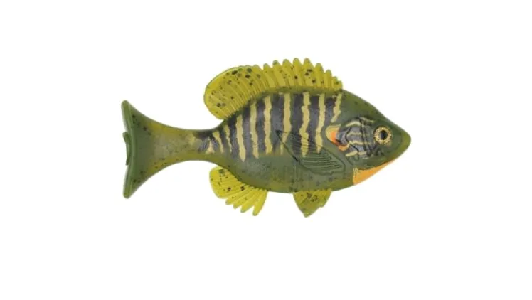 Sudden Impact Suzygill Bluegill