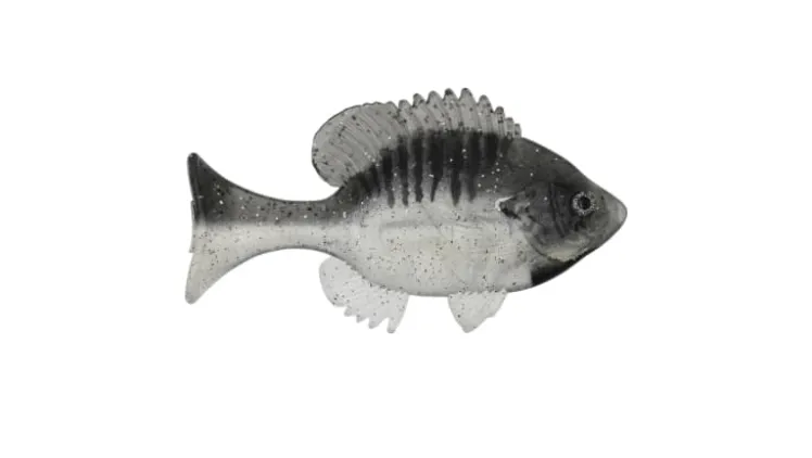 Sudden Impact Suzygill Bluegill