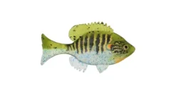 Sudden Impact Suzygill Bluegill Lil Gill