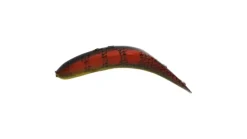 Worden's Flatfish F5