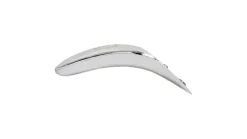 Worden's Hawg Nose FlatFish T55 5.5