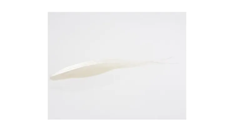 Zoom Magnum Super Fluke